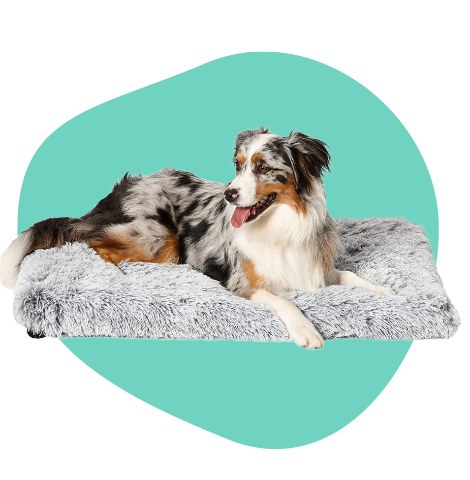 Snooza Dog Bed Multimat with Australia Shepherd