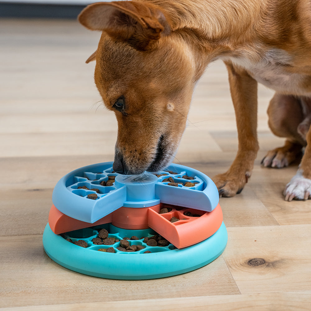 Outward Hound Lickin' Layers Dog Puzzle & Feeder by Nina Ottosson