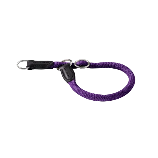 Hunter Dog Martingale Collar Purple