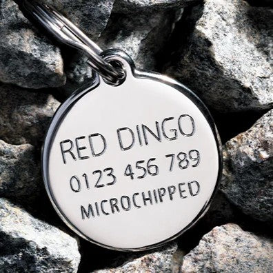 Engraved Tag w/ three lines 'Red Dingo' and phone number and 'Microchipped' for reference