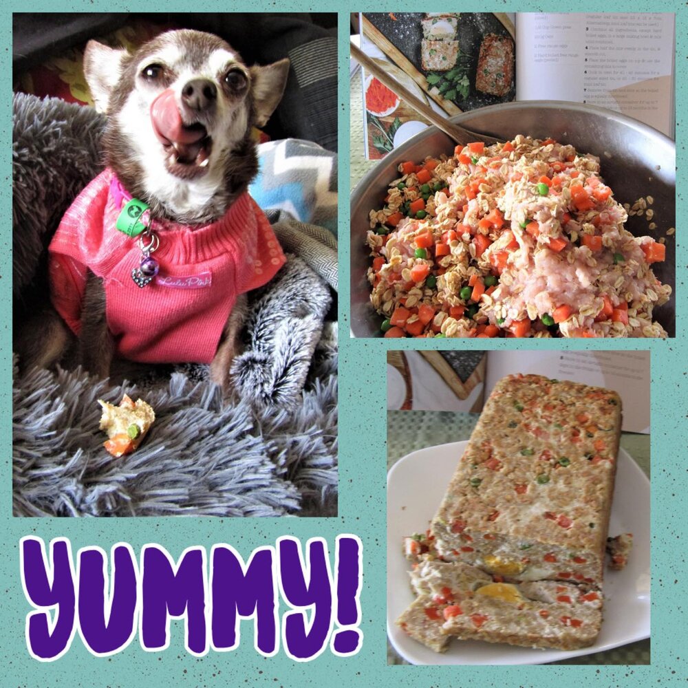 Doggy Cookbook - Short & Sweet