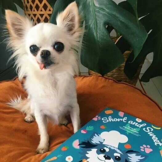 Doggy Cookbook - Short & Sweet
