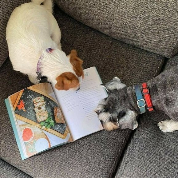 Doggy Cookbook - Short & Sweet