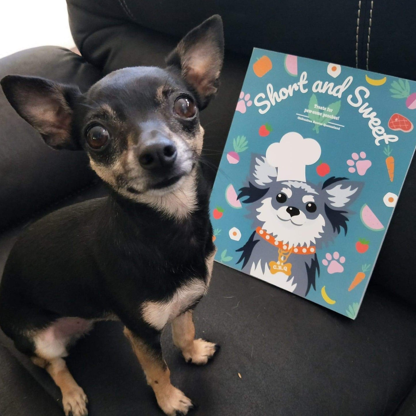 Doggy Cookbook - Short & Sweet
