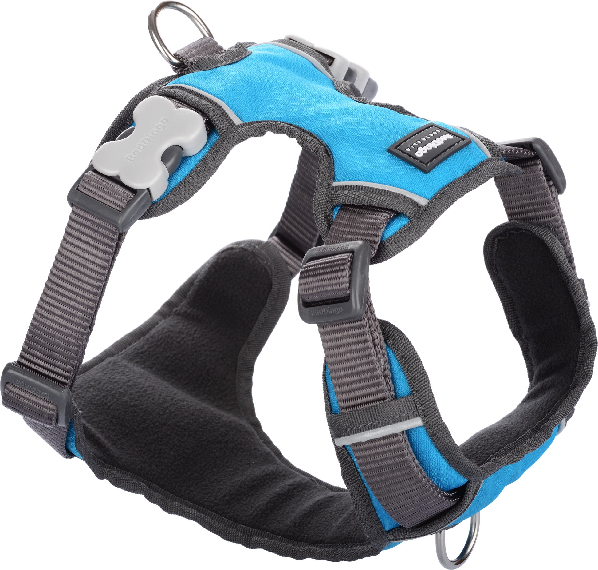 Padded Harness | by Red Dingo - turquoise blue