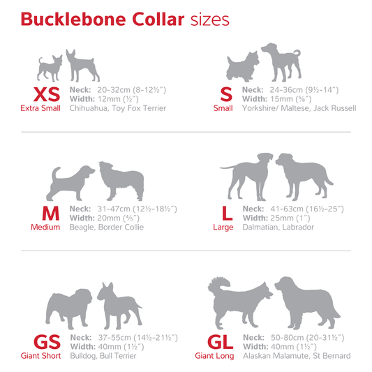 Bucklebone Dog Collar | Measurements - Size/ Breed Guide