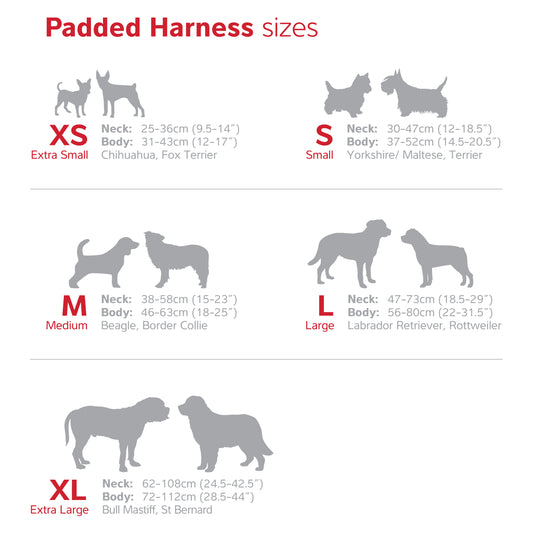 Padded Harness | by Red Dingo - Size Chart