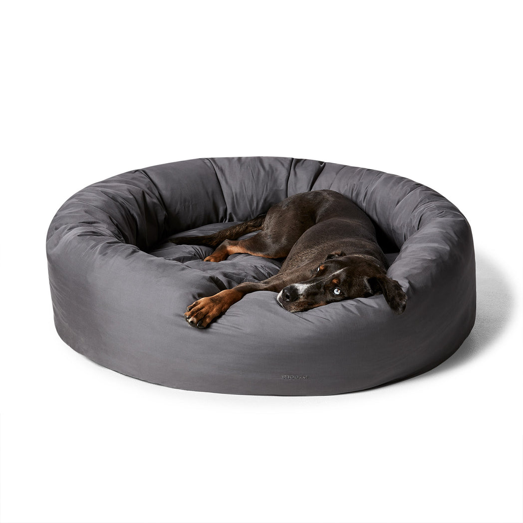 Cuddler | Cool Steel
