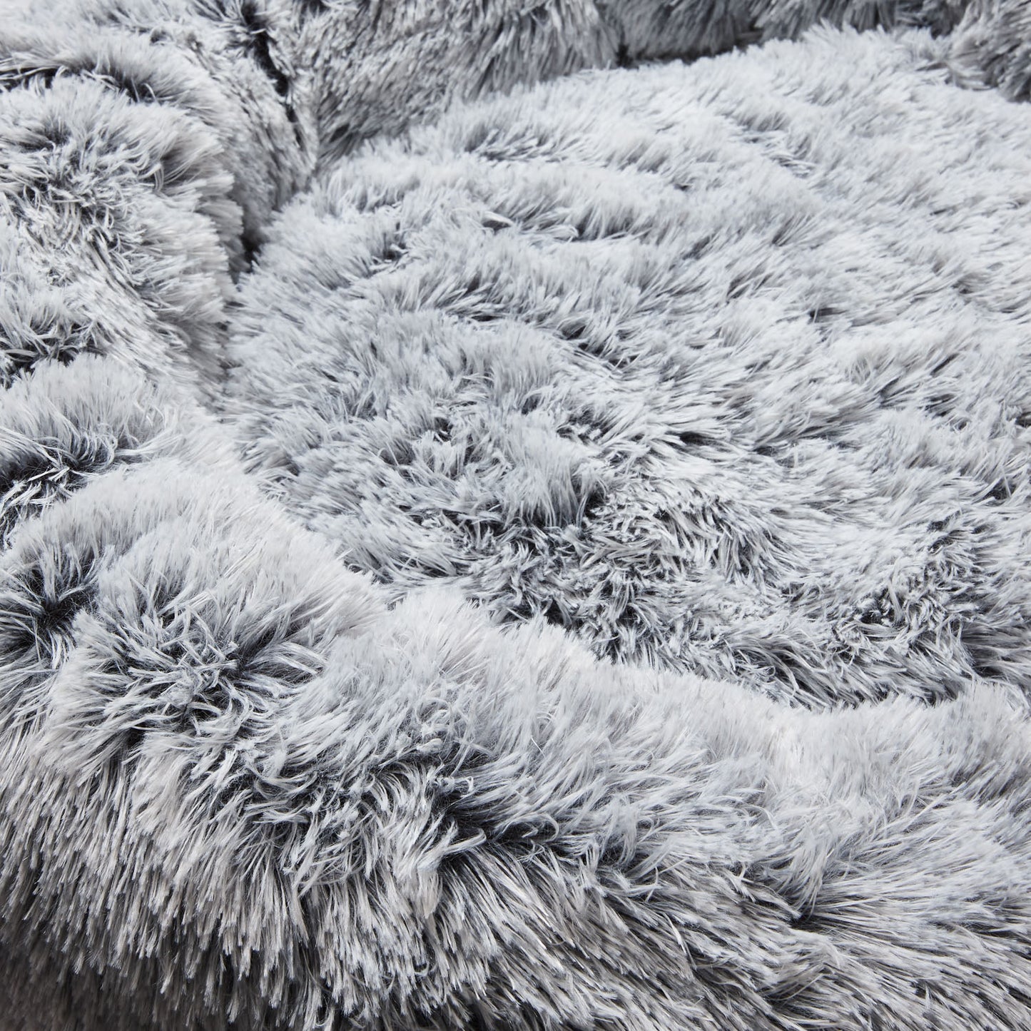 Cat Cuddler | Silver Fox