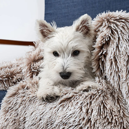 Calming Pet Blanket | Mink