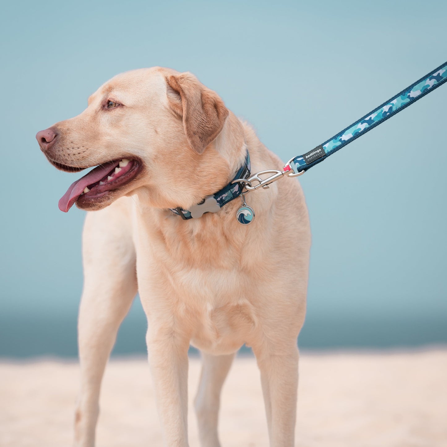 Labrador Retriever Dog wearing Camouflage Collar and Leash in Blue with Wave ID Tag in Blue