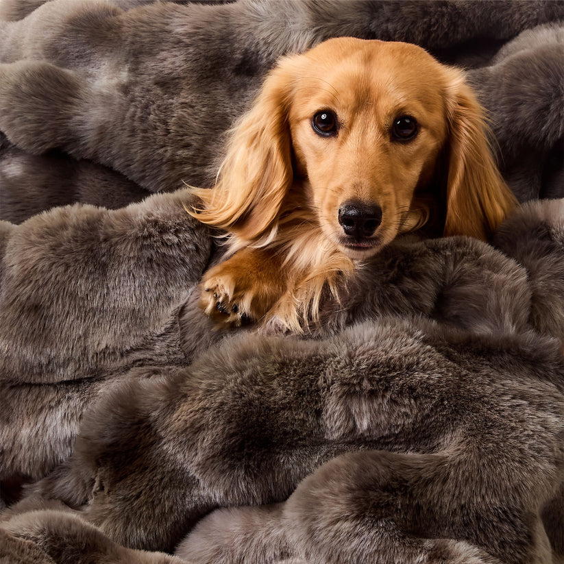 Luxe Bubble Fur Blanket [Brown]