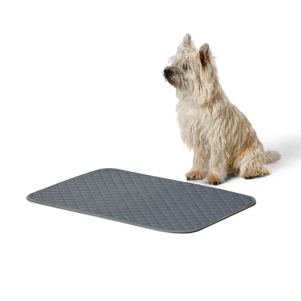 Training Pads [2 Pack]