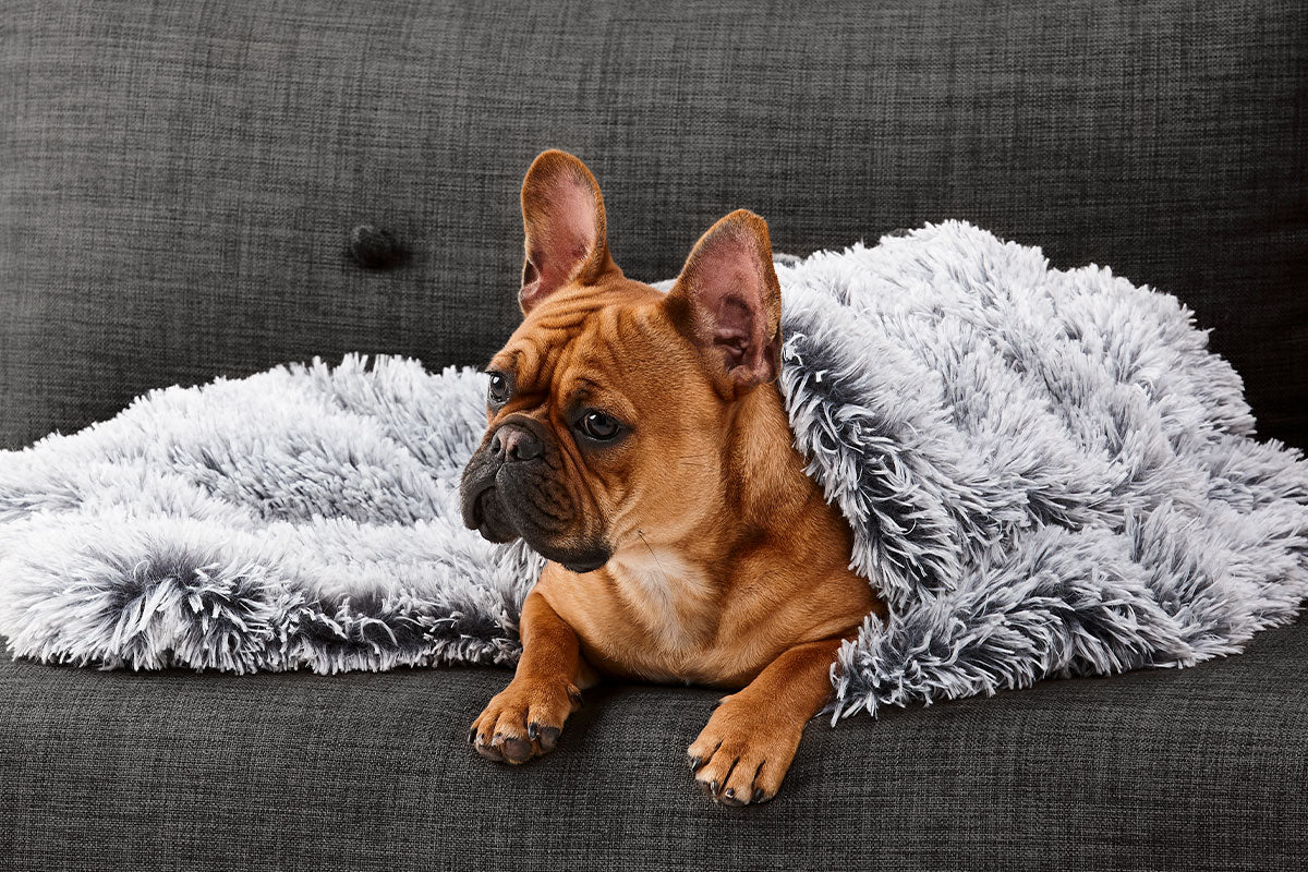 Calming Pet Blanket | Silver Fox & Chinchilla
