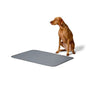 Training Pads [2 Pack]