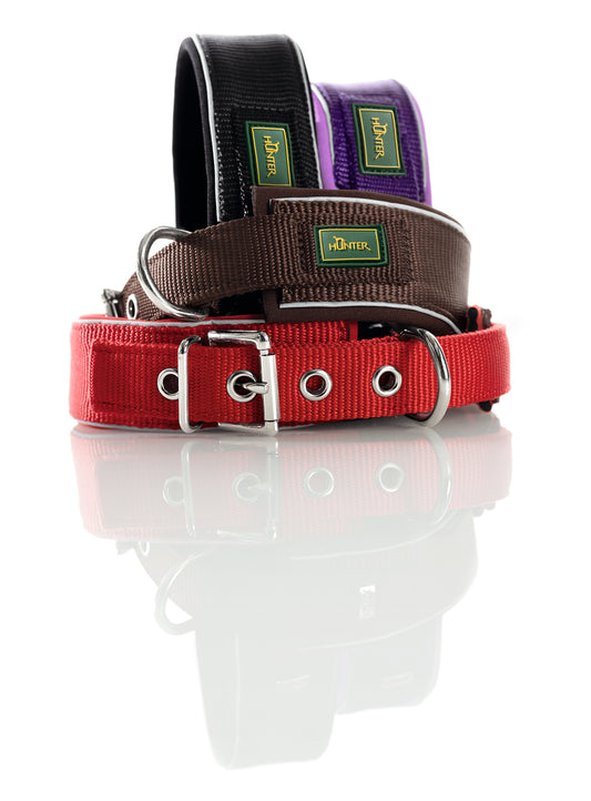 Dog Collar | Neoprene Reflect
