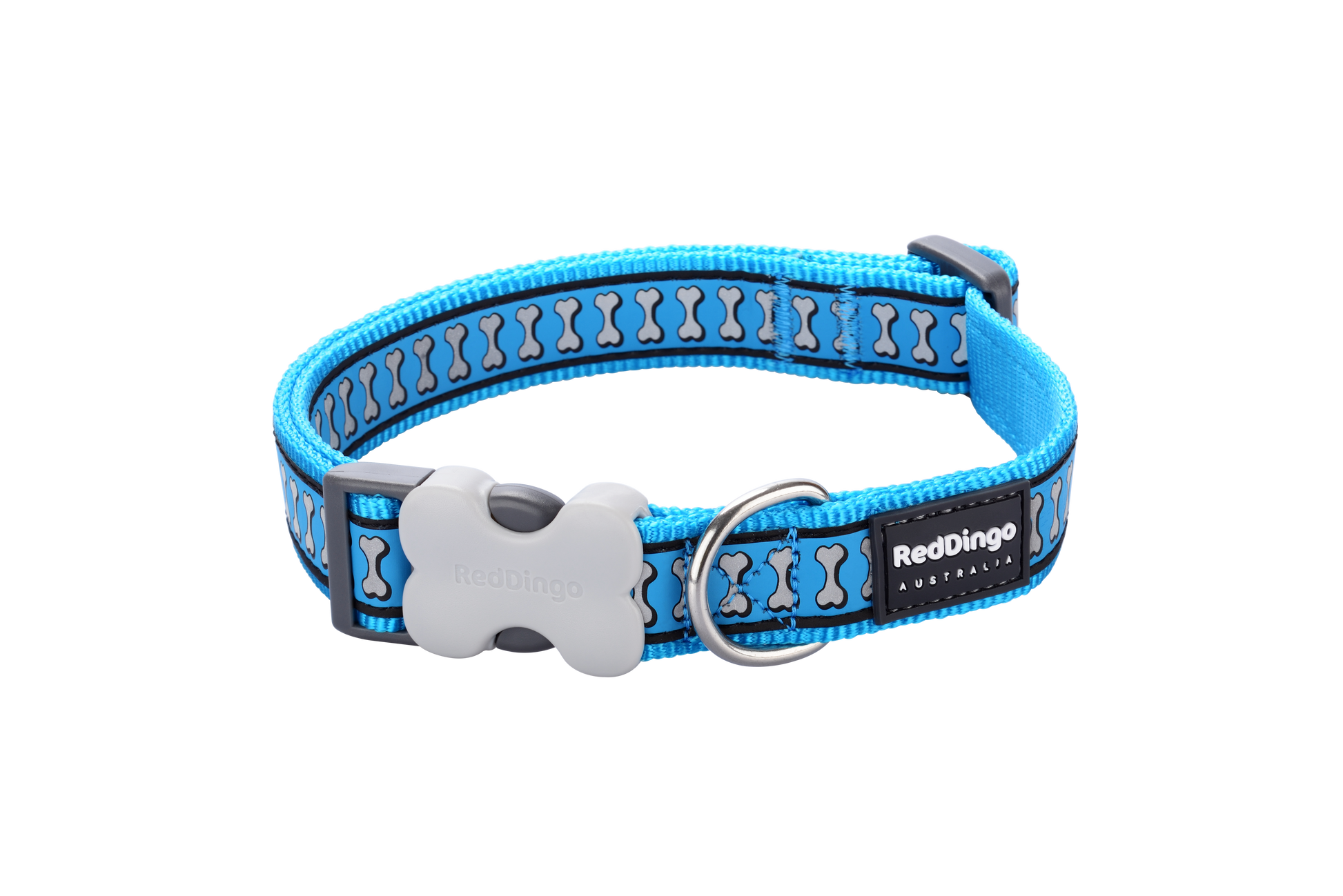Dog Collar | Reflective Bones [Turquoise]