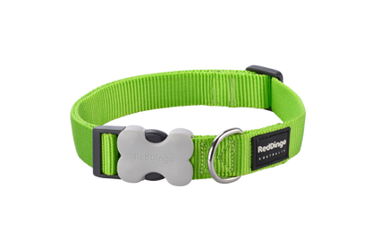 Dog Collar | Classic [Lime Green]