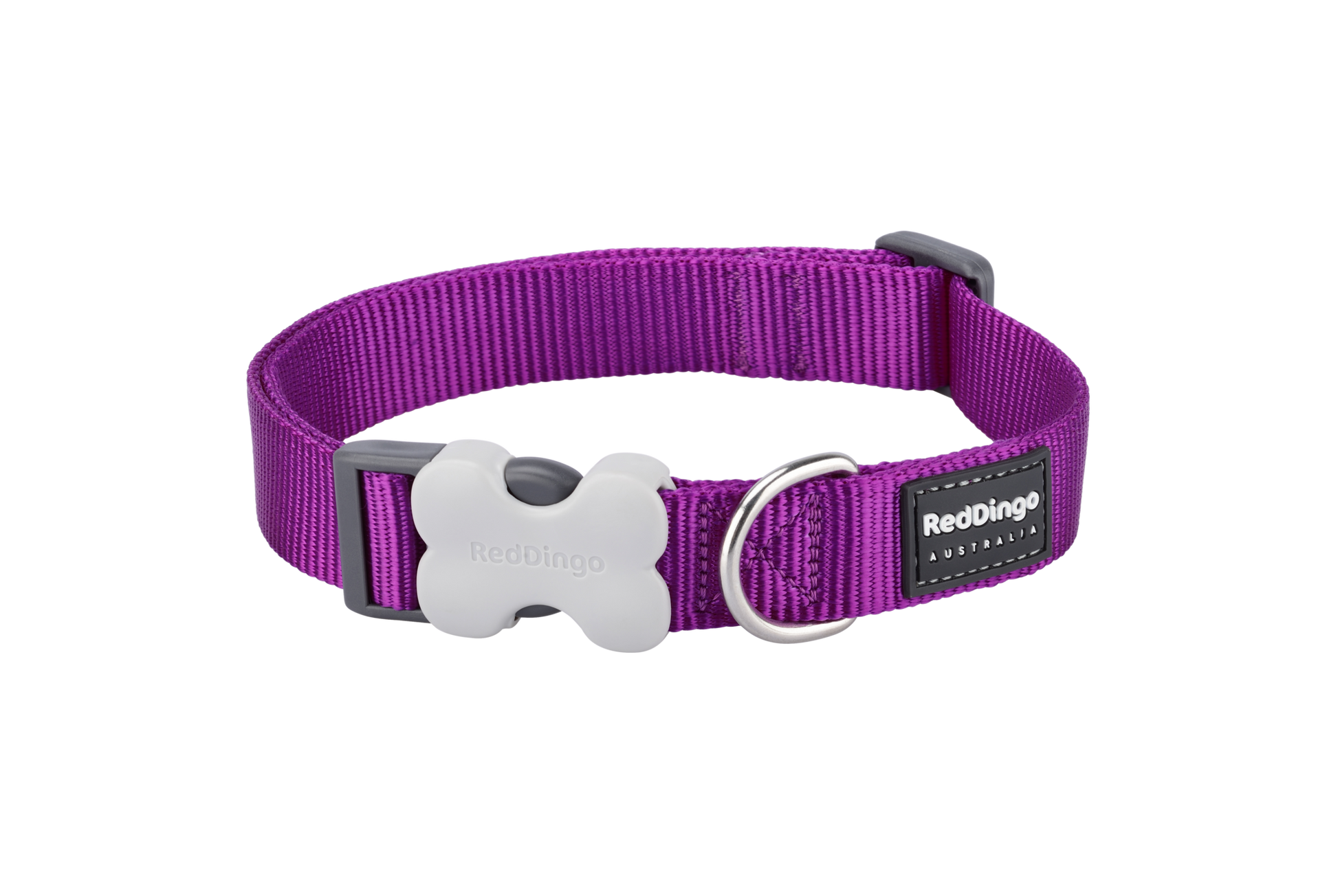 Dog Collar | Classic [Purple]