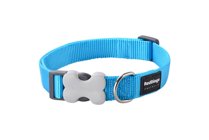 Dog Collar | Classic [Turquoise]
