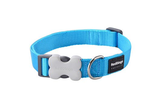Dog Collar | Classic [Turquoise]