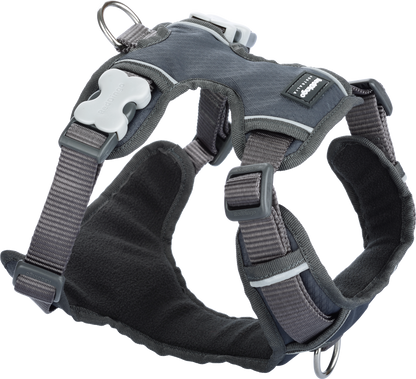 Padded Harness | by Red Dingo - grey