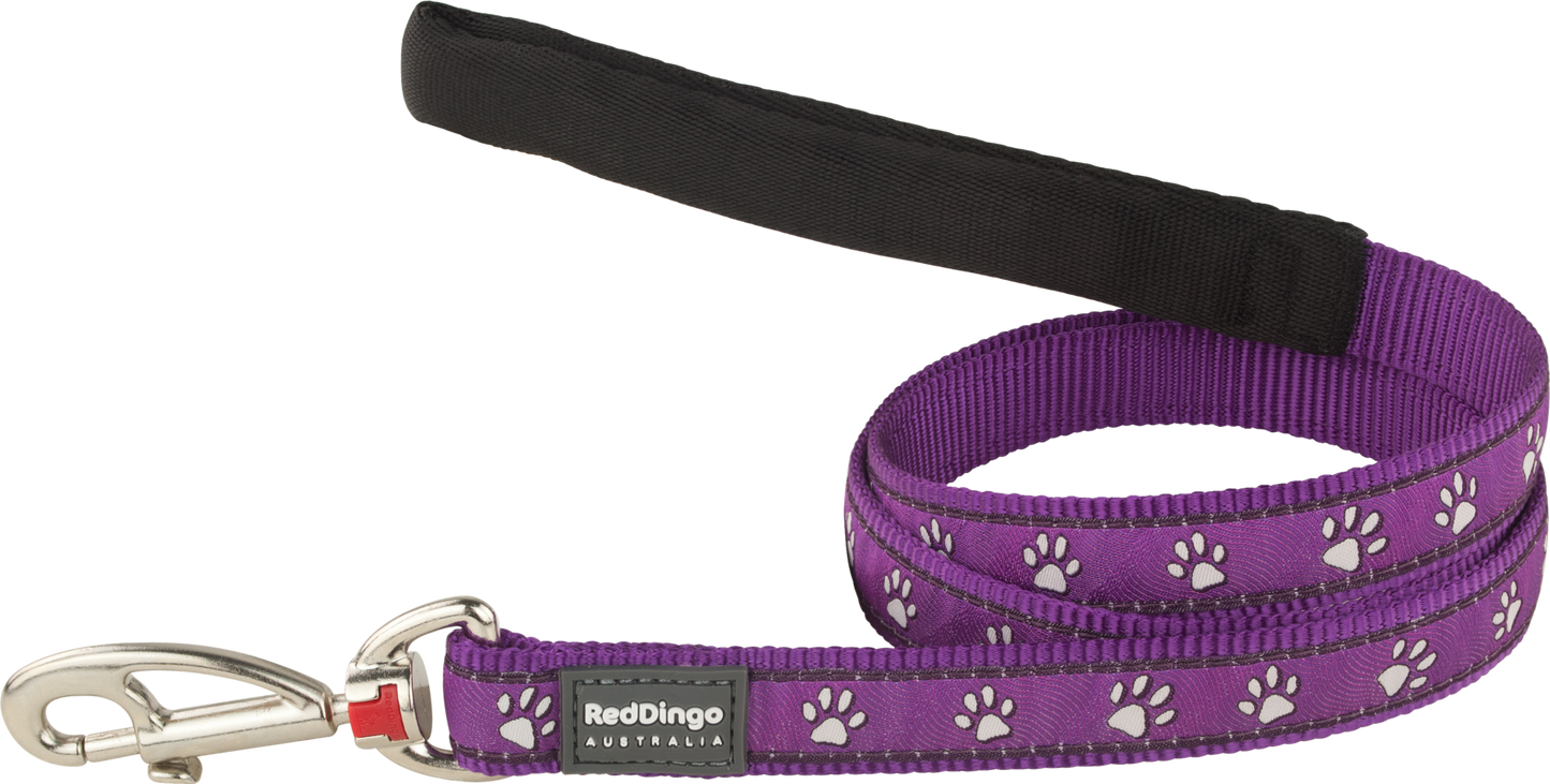 Dog Standard Leash | Desert Paws [Purple]