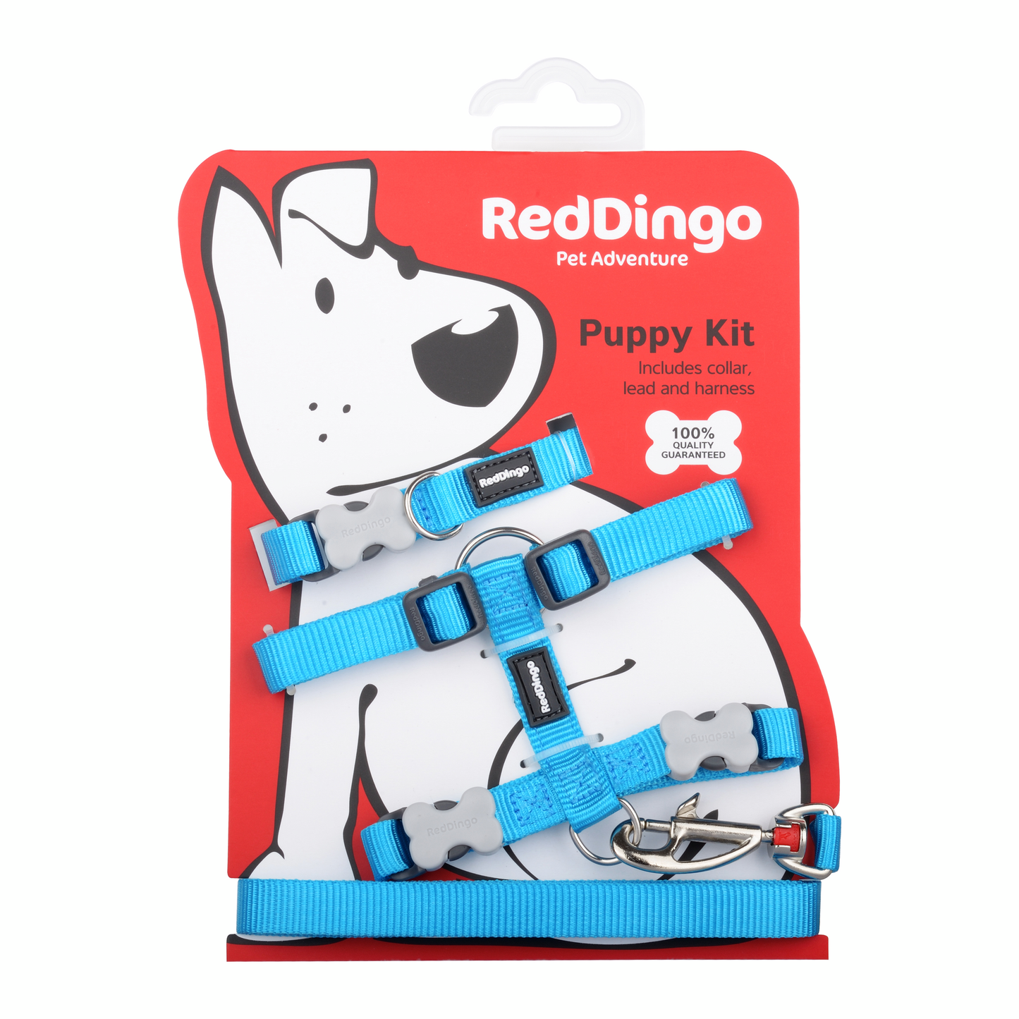 Dog Puppy Kit [Turquoise] - w/ packaging -front