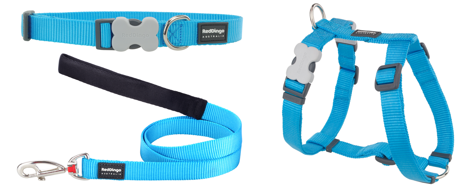 Dog Puppy Kit [Turquoise]