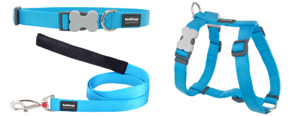 Dog Puppy Kit [Turquoise]