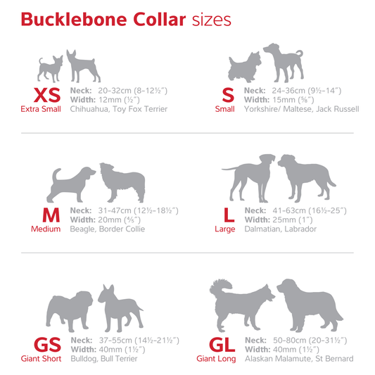 Bucklebone Dog Collar | Measurements - Size/ Breed Guide