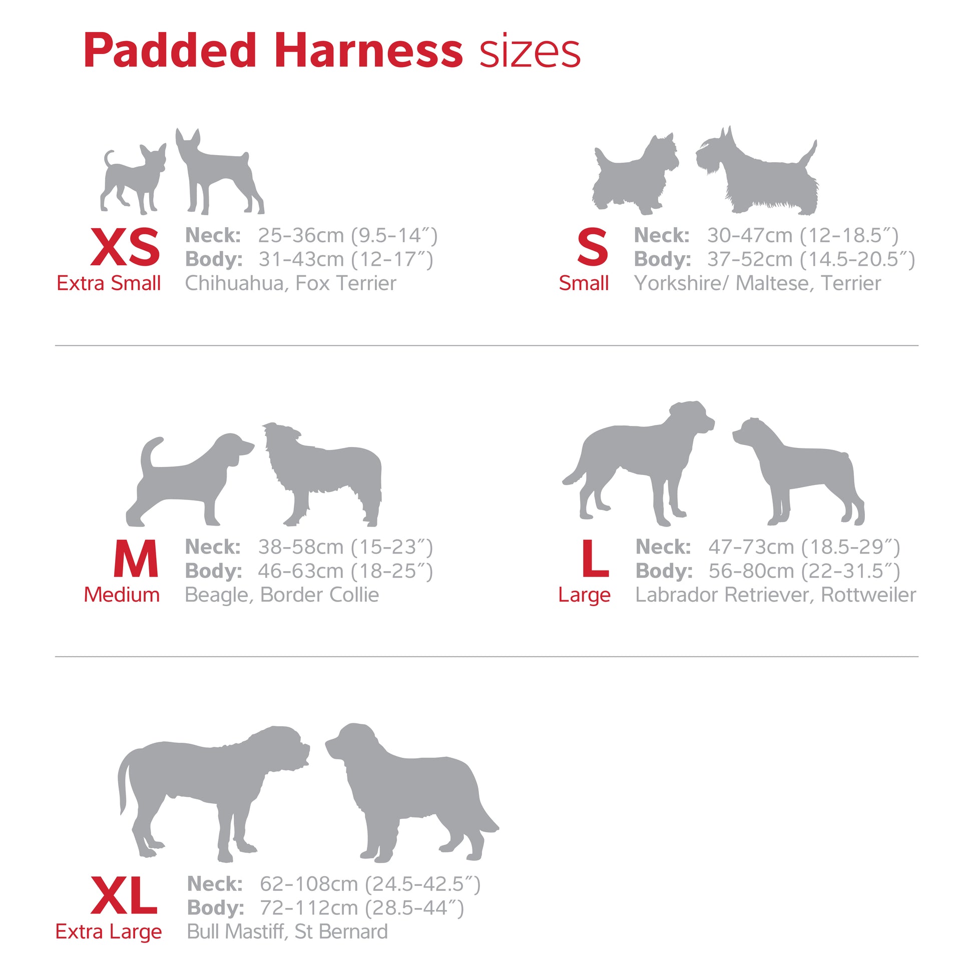 Padded Harness | by Red Dingo - Size Chart