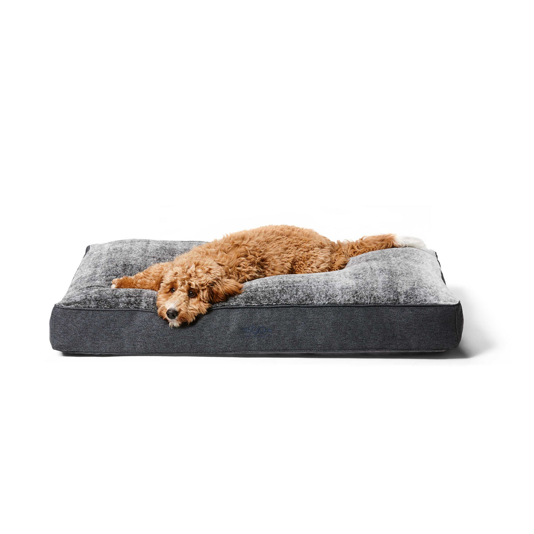 Shapes Oblong | Chinchilla
